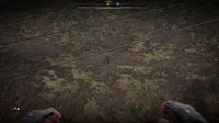 Proof.of.Offline-Online.NPC.Walk.Test..mp4