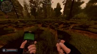 4.mp4