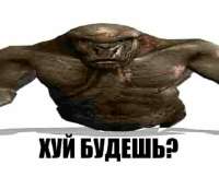 1750750611055.jpg