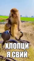 1750784956414.mp4