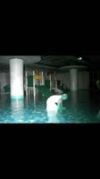 1750790368420.mp4