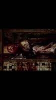 1751231073850.mp4