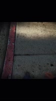 1752640631043.mp4