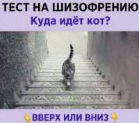 изображение.png