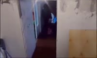 артовод.mp4