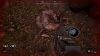 S.T.A.L.K.E.R. 2 Heart of Chornobyl Screenshot 2025.06.25 - 22.36.52.94.png