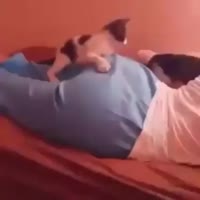 16806358847380.mp4
