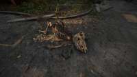 S.T.A.L.K.E.R. 2 Heart of Chornobyl Screenshot 2025.06.28 - 18.20.36.87.jpg