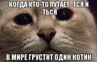 9018836.jpg