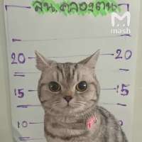 580bd4d3-9e5d-4916-bd9c-0ab421ba46bf.webp
