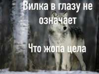 1000025371.jpg