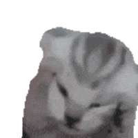 1716103784634.gif