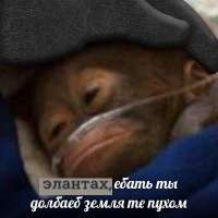 17119007272210.png