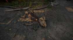 S.T.A.L.K.E.R. 2  Heart of Chornobyl Screenshot 2025.06.28 - 18.20.36.87.jpg