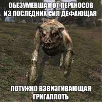 1751201086197.jpg