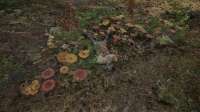 S.T.A.L.K.E.R. 2  Heart of Chornobyl Screenshot 2025.06.29 - 00.57.27.07.jpg