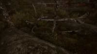 S.T.A.L.K.E.R. 2  Heart of Chornobyl Screenshot 2025.06.28 - 23.57.13.89.jpg