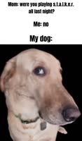 1751444677749.mp4