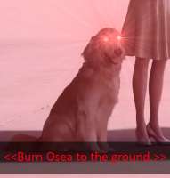 27d.jpg