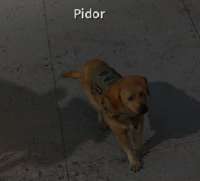 1649598398071.png