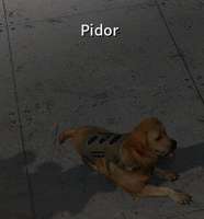 1600279454500.png