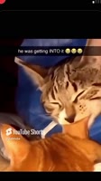He was getting INTO it 😭.mp4