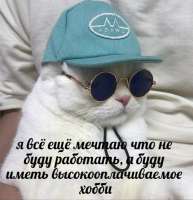 17302058871223.jpg