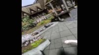 17520851061970.mp4