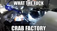 16307845053210.mp4