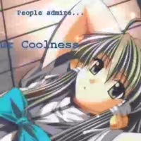 17460093001013.webm