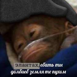 17512930133620.png