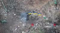 17491899239240.mp4