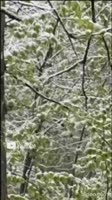 tolknul-stangu-90-kg-1FXwjxHen.mp4