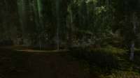 Gothic 2 Screenshot 2025.07.08 - 15.43.24.65.png