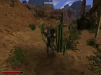 Unusual Orc Animation - Gothic 2.mp4