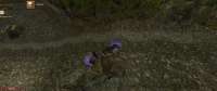 Gothic220250719210220436.jpg