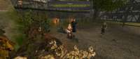 Gothic220250720125612326.jpg