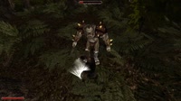 orc.mp4