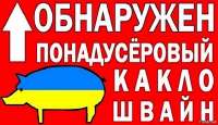 изображение.png