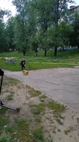 17515701911380.mp4