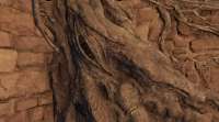 how-did-godwyn-spread-to-farum-azula-v0-le50hf0gcqed1.jpg