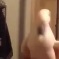 попугай.mp4