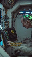 17516128423570.mp4