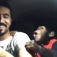 пооооооог.mp4