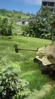 17501960216662.mp4