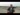 16790630905717.webm