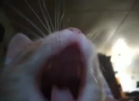 1751714652000.mp4