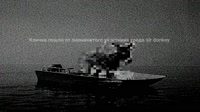 рёв.webm