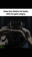 17523344744040.mp4