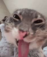 1754106606452.gif